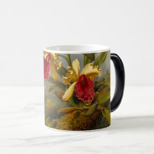 Orchids och Hummingbird Heade Magisk Mugg