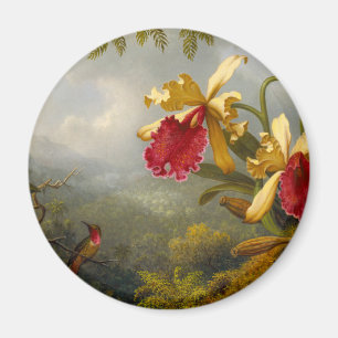 Orchids och Hummingbird Heade Magnet