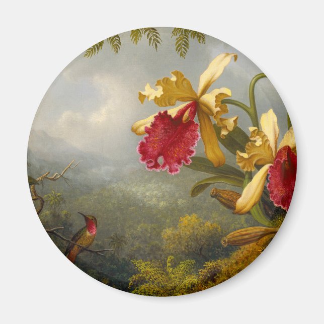 Orchids och Hummingbird Heade Magnet (Framsidan)