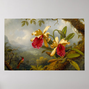 Orchids och Hummingbird Heade Poster