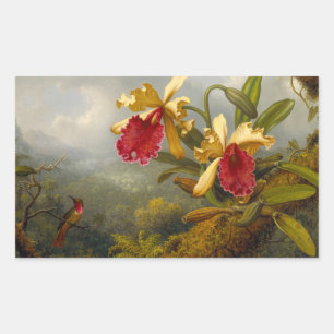 Orchids och Hummingbird Heade Rektangulärt Klistermärke