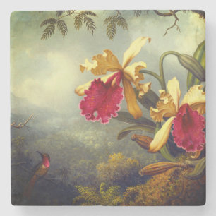 Orchids och Hummingbird Heade Stenunderlägg