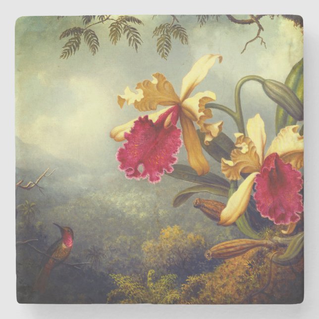 Orchids och Hummingbird Heade Stenunderlägg (Framsidan)