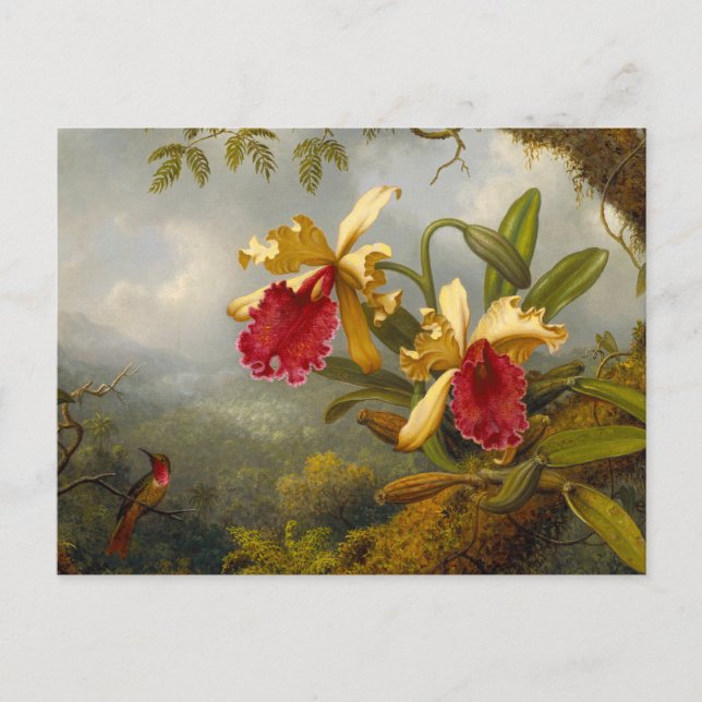 Orchids och Hummingbird Heade Vykort (Framsida)