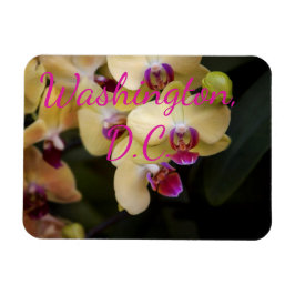 Orchids of rosa and gult, Washington, D.C. Magnet