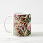 Orchids, Orchideae Denusblumen av Ernst Haeckel Kaffemugg<br><div class="desc">Orchids,  Orchideae Denusblumen av Ernst Haeckel Mugg</div>