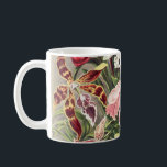 Orchids, Orchideae Denusblumen av Ernst Haeckel Kaffemugg<br><div class="desc">Orchids,  Orchideae Denusblumen av Ernst Haeckel Mugg</div>