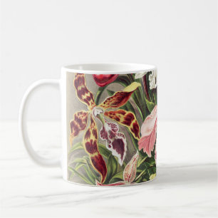 Orchids, Orchideae Denusblumen av Ernst Haeckel Kaffemugg