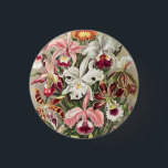 Orchids, Orchideae Denusblumen av Ernst Haeckel Knapp<br><div class="desc">Orchids,  Orchideae Denusblumen av Ernst Haeckel Button</div>