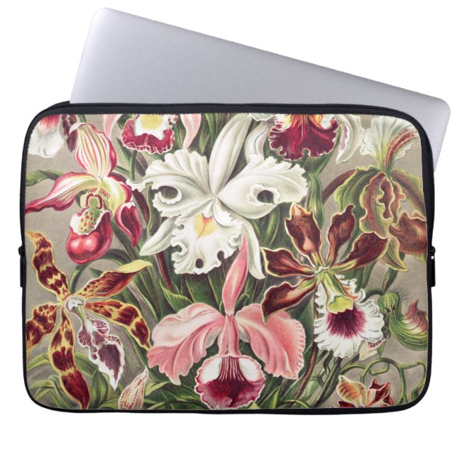 Orchids, Orchideae Denusblumen av Ernst Haeckel Laptop Fodral (Framsidan)