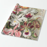 Orchids, Orchideae Denusblumen av Ernst Haeckel Presentpapper<br><div class="desc">Orchids,  Orchideae Denusblumen av Ernst Haeckel Wrapping Papprare"Vintage illustration bra art teckning", "Ernst Haeckel", "blommigt flora blommor lämnar växter", "tropisk regnskogsdjungel", "botaniska botany orchids plans träd", "science artwork Filicinae", "biologsväxt löv loppfronder,  konstformer i naturen,  konstnärliga grönt embryofyta,  Kunstformen der Natur</div>