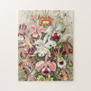 Orchids, Orchideae Denusblumen av Ernst Haeckel Pussel