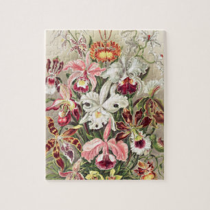Orchids, Orchideae Denusblumen av Ernst Haeckel Pussel