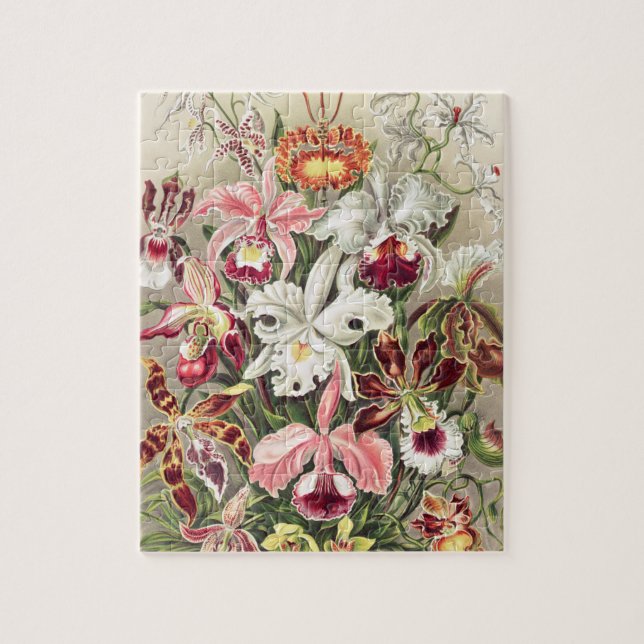 Orchids, Orchideae Denusblumen av Ernst Haeckel Pussel (Vertikal)