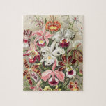 Orchids, Orchideae Denusblumen av Ernst Haeckel Pussel<br><div class="desc">Orchids,  Orchideae Denusblumen av Ernst Haeckel Vintage Plants Jigszle Puzzle.</div>
