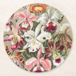 Orchids, Orchideae Denusblumen av Ernst Haeckel Underlägg Papper Rund<br><div class="desc">Orchids,  Orchideae Denusblumen av Ernst Haeckel Papprare Underlägg</div>