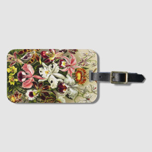 Orchids, Orchideae Denusblumen Ernst Haeckel Bagagebricka