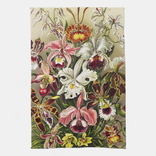 Orchids, Orchideae Denusblumen Ernst Haeckel  Kökshandduk (Vertikal)