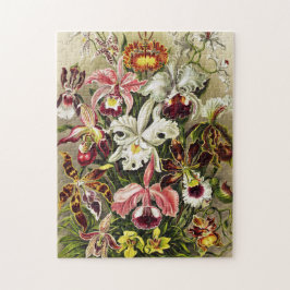 Orchids, Orchideae Denusblumen Ernst Haeckel Pussel