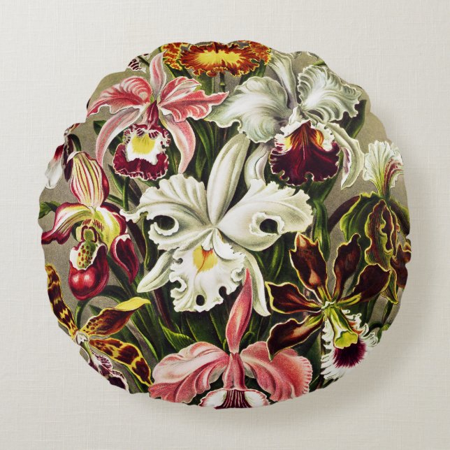 Orchids, Orchideae Denusblumen Ernst Haeckel Rund Kudde (Framsidan)