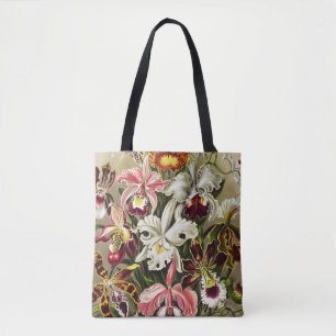 Orchids, Orchideae Denusblumen Ernst Haeckel Tygkasse