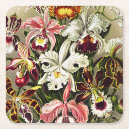 Orchids, Orchideae Denusblumen Ernst Haeckel Underlägg Papper Kvadrat