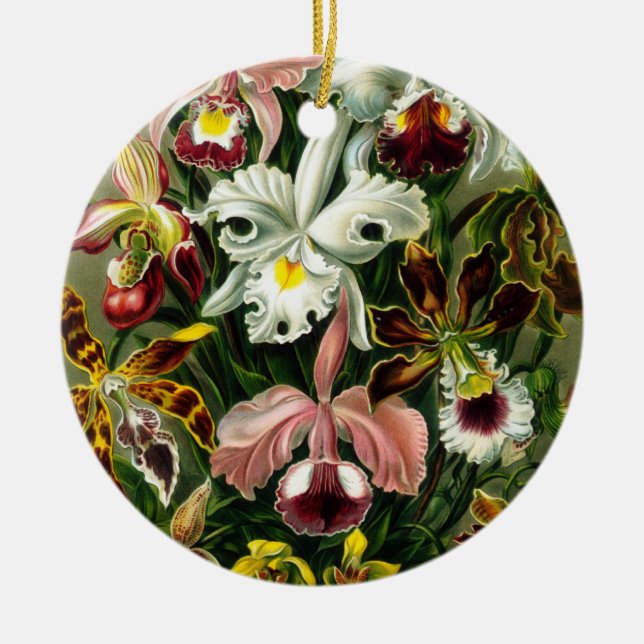 Orchids Ornament (Framsidan)