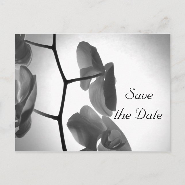 Orchids på Stem Bröllop spara datum Meddelande Vykort (Framsida)