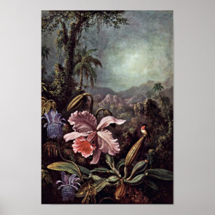 Orchids Passion Flowers och Hummingbird av Martin Poster