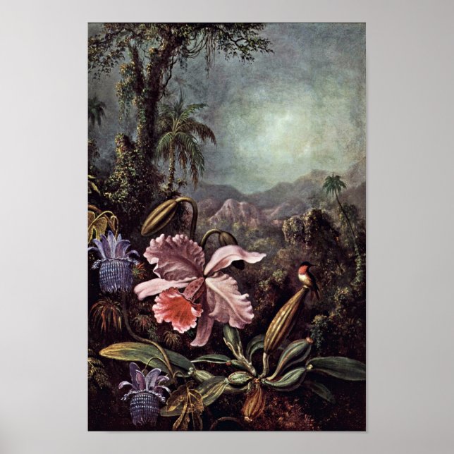 Orchids Passion Flowers och Hummingbird av Martin Poster (Framsidan)
