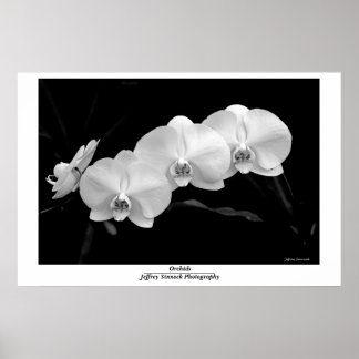 Orchid's Poster
