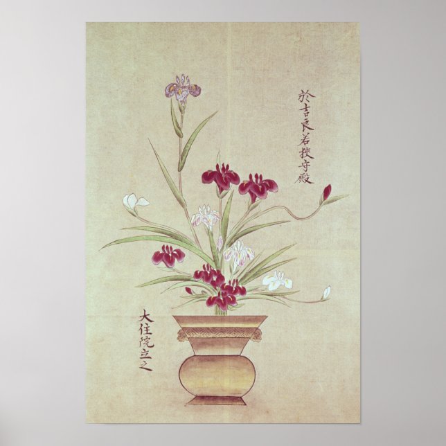 Orchids Poster (Framsidan)