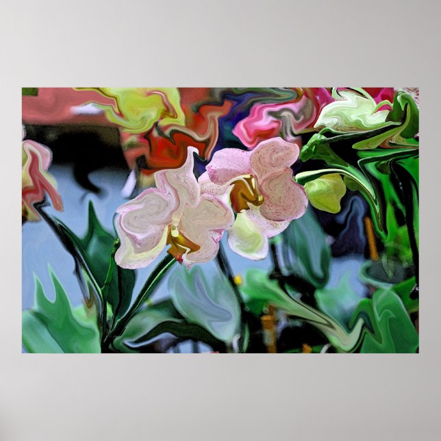 Orchids Poster (Framsidan)