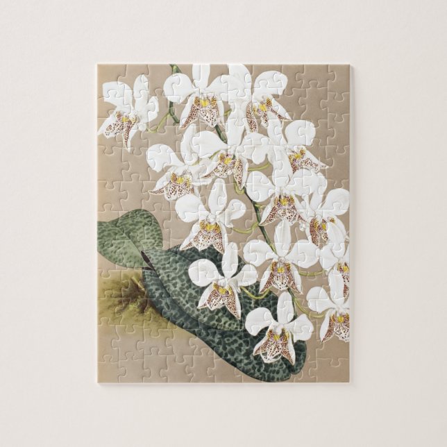 Orchids Pussel (Vertikal)