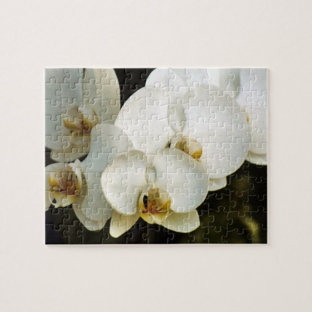 Orchids Pussel (Horisontell)