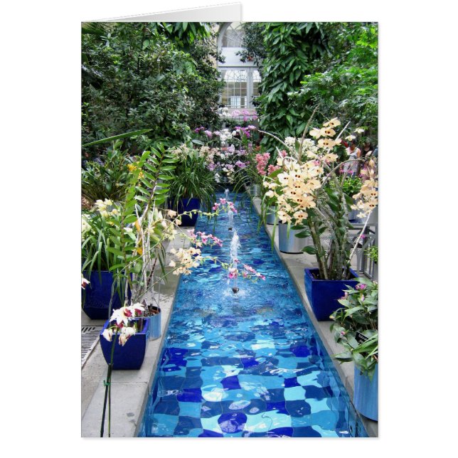 Orchids show hälsningskort (Framsidan)