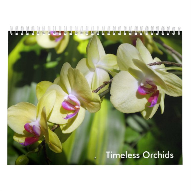 Orchids skönhet kalender (Omslag)