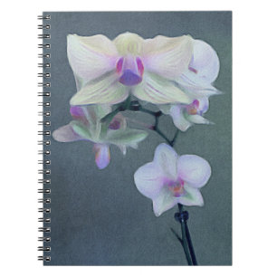 Orchids skuggar in av lilor anteckningsbok med spiral
