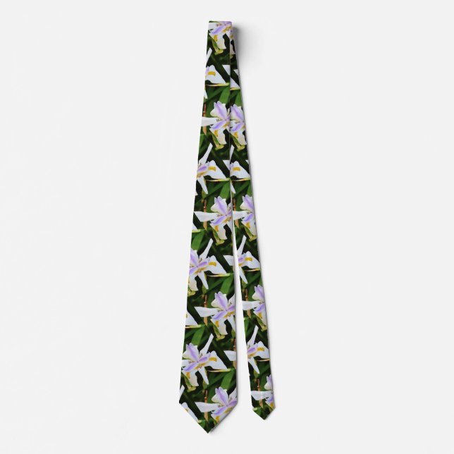 Orchids Slips (Framsida)