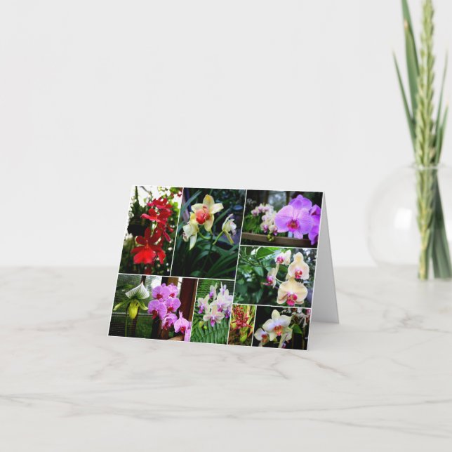 Orchids Tack Kort (Framsida)