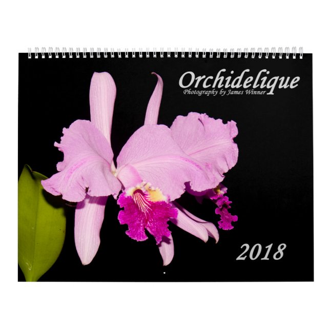 Orchids vid Orchidelique Kalender (Omslag)