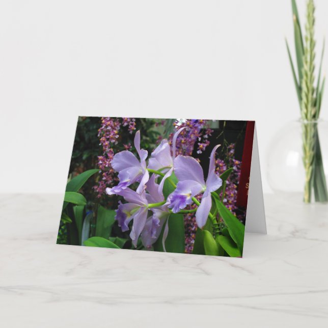 Orchidshälsningkort Kort (Framsida)