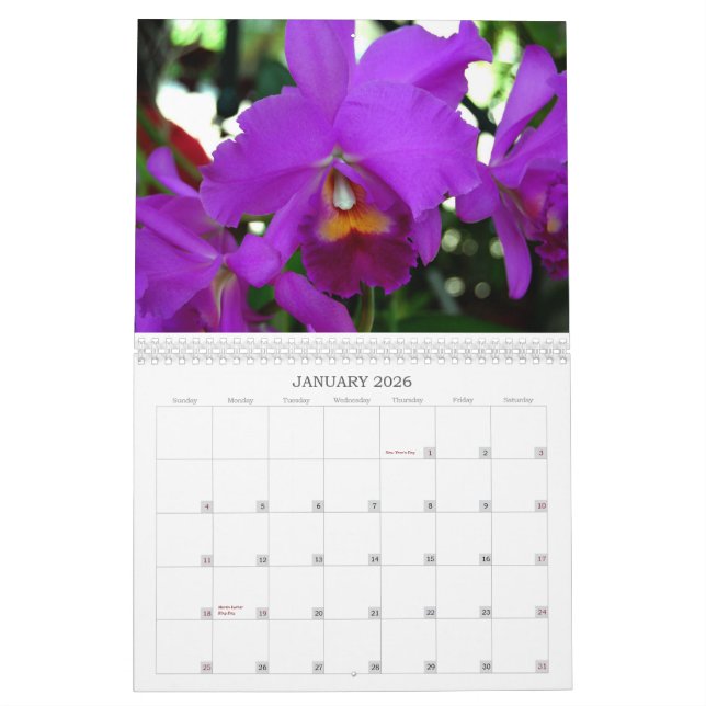 Orchidskalender Kalender (Jan 2026)