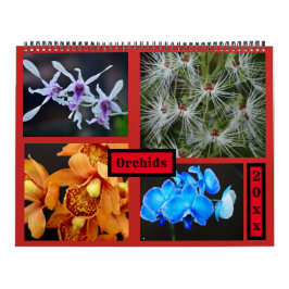 Orchidsväggkalender Kalender