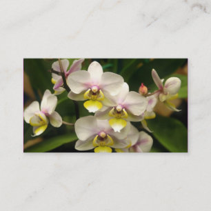 Orchidsvisitkortar Visitkort