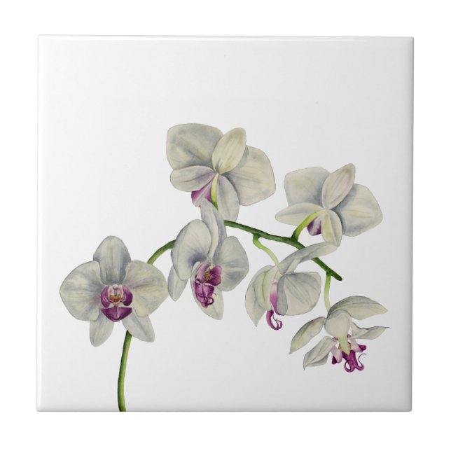 Orchidvattenfärgmålning Kakelplatta (Framsidan)