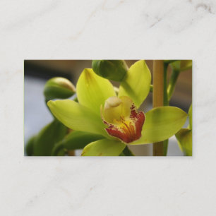 Orchidvisitkortar Visitkort