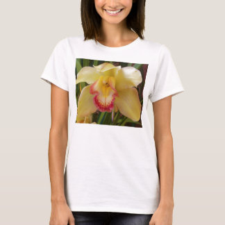 orcid tee