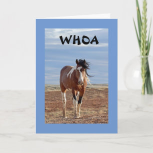 ORD ÄR DU **10** KORT