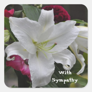 Ord av sympati från Janz White Lily Fyrkantigt Klistermärke